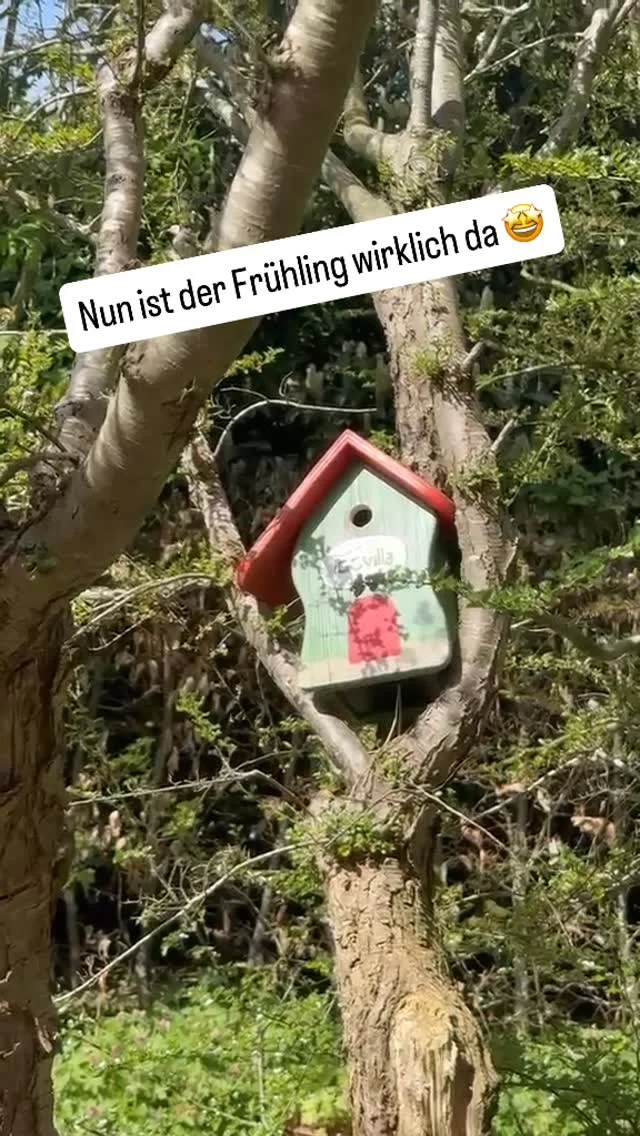 Der Frühling ist wieder in unserer iGG-Villa eingezogen. Wir freuen uns auf das baldige gepiepse 🐦‍⬛☺️

#frühling #vogelhaus #nistkasten #nachhaltigkeit