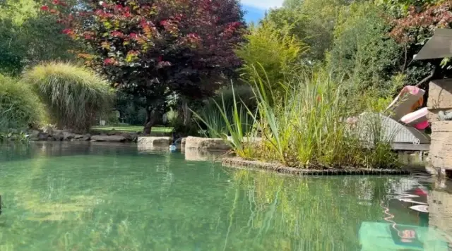 🌿 Was an der Oberfläche wie eine kleine, schwimmende Pflanzeninsel aussieht, entfaltet seine besondere Wirkung vor allem unter Wasser.

Das ausgeprägte Wurzelwerk von Flora-Float schafft wertvollen Lebensraum für Mikroorganismen, bietet Rückzugsräume für Wasserlebewesen und unterstützt die Bindung von Nährstoffen aus dem Wasser. So verbindet die schwimmende Insel Gewässerökologie, Biodiversität und attraktive Begrünung auf natürliche Weise.

Eine dieser bereits eindrucksvoll bewachsenen Flora-Float-Inseln bringen wir zur GaLaBau nach Nürnberg mit. Dort können Besucher nicht nur die Pflanzen, sondern auch das kräftige Wurzelwerk aus nächster Nähe betrachten.

📍 Besuchen Sie IGG Internationale Geotextil GmbH
📅 15.–18. September 2026
📌 Halle 4 · Stand 4-632

Wir freuen uns darauf, Ihnen Flora-Float live vorzustellen und mit Ihnen über Einsatzmöglichkeiten in Teichen, Seen, Regenrückhaltebecken und langsam fließenden Gewässern zu sprechen.

#FloraFloat #GaLaBau2026 #NatureBasedSolutions #Gewässerschutz #Wasserqualität Biodiversität SchwimmendeInsel Nachhaltigkeit IGG RoessGroup