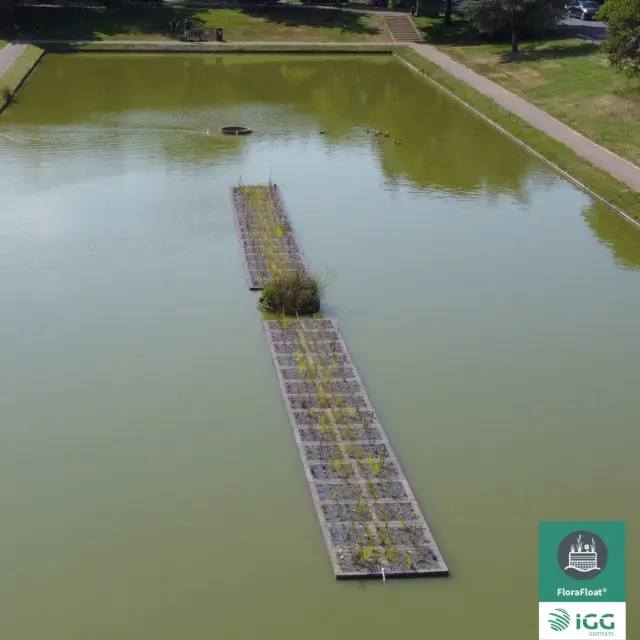 Bestehende Wasserflächen besitzen oft noch großes ökologisches Potenzial.

Fast jede Stadt besitzt Regenrückhaltebecken, Stadtteiche oder künstliche Wasserflächen. Viele dieser Gewässer erfüllen ihre technische Aufgabe zuverlässig. Ökologisch besitzen sie jedoch häufig noch großes Potenzial.

Schwimmende Vegetationsinseln können helfen, neue Lebensräume zu schaffen, Wasserflächen aufzuwerten und natürliche Prozesse zu unterstützen.

Besonders interessant ist: Bestehende Gewässer können genutzt werden, ohne zusätzliche Flächen zu versiegeln.

Genau darin liegt eine große Chance für klimaresiliente Städte und Landschaften.

#Biodiversity #FloatingWetlands #UrbanWater #Sustainability #NatureBasedSolutions