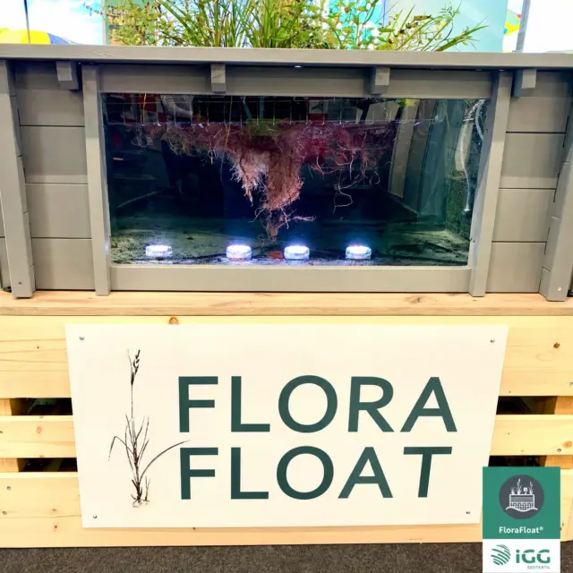 FloraFloat – Lebensraum über und unter Wasser.

Unsere schwimmenden Pflanzeninseln schaffen neue Lebensräume an der Wasseroberfläche. Doch auch unter Wasser passiert einiges!

Die Wurzeln der Pflanzen wachsen direkt ins Wasser und bieten Mikroorganismen eine große Besiedlungsfläche. Hier können sich natürliche Biofilme entwickeln, die den Stoffhaushalt des Gewässers unterstützen.

Mit FloraFloat geben wir diesen natürlichen Prozessen eine stabile und langlebige Plattform – für mehr Leben im und am Wasser. 💧🌱

#FloraFloat #SchwimmendePflanzeninseln #WaterQuality #NatureBasedSolutions #Ecology
